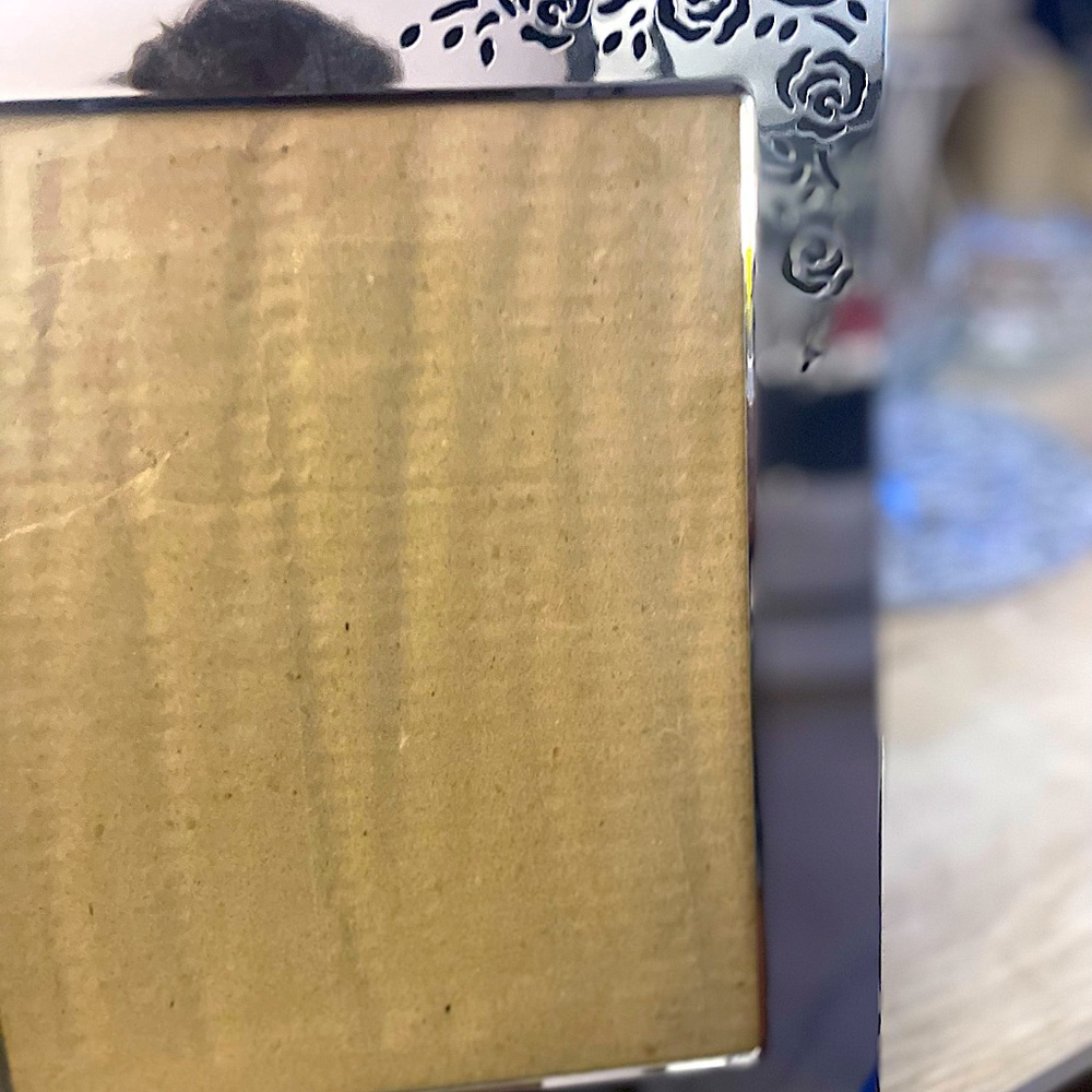 Stunning Chrome Frame with Stenciled Roses